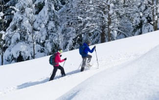 SCHNEESCHUHWANDERN