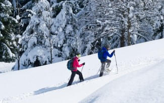 SNOW-SHOE-WALKING